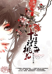 深入了解 蓝导航小鸟导航